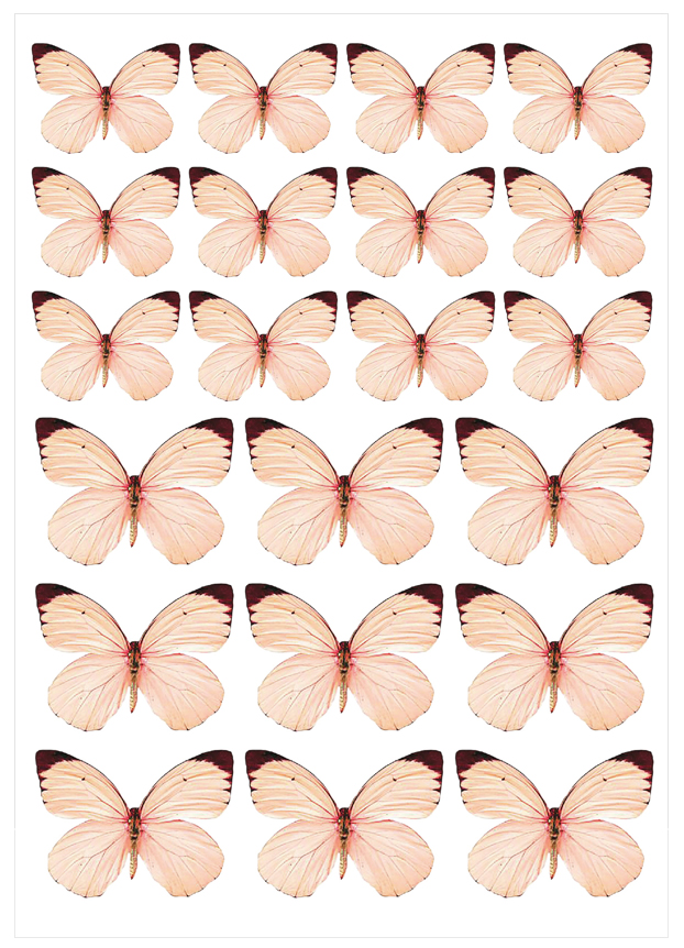 Imagen del producto: Modelo nº 2378: Mariposas rosas
