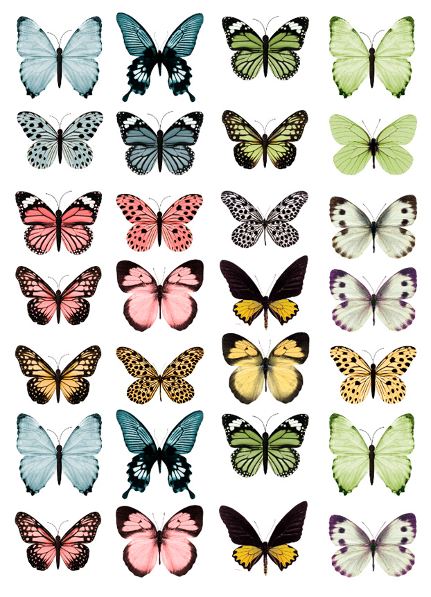 Imagen de producto: Modelo nº 308: Mariposas de colores