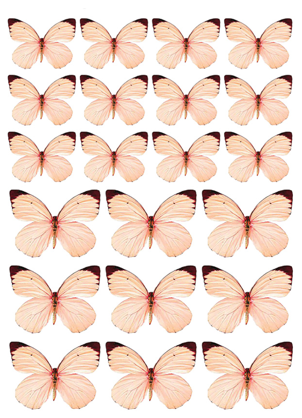 Imagen de producto: Modelo nº 309: Mariposas rosas